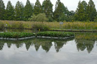 ������R����